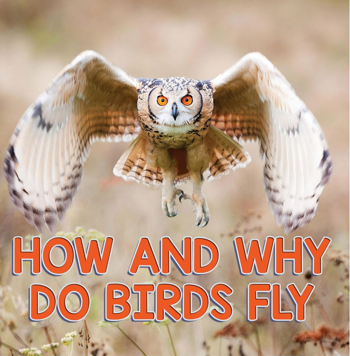 How and Why Do Birds Fly: Bird Books for Kids (Children's Bird Books (Ornithology))