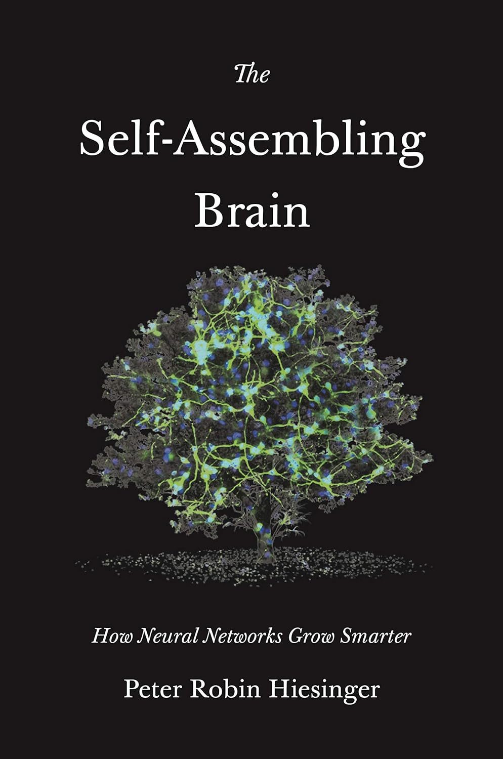 The Self-Assembling Brain: How Neural Networks Grow Smarter