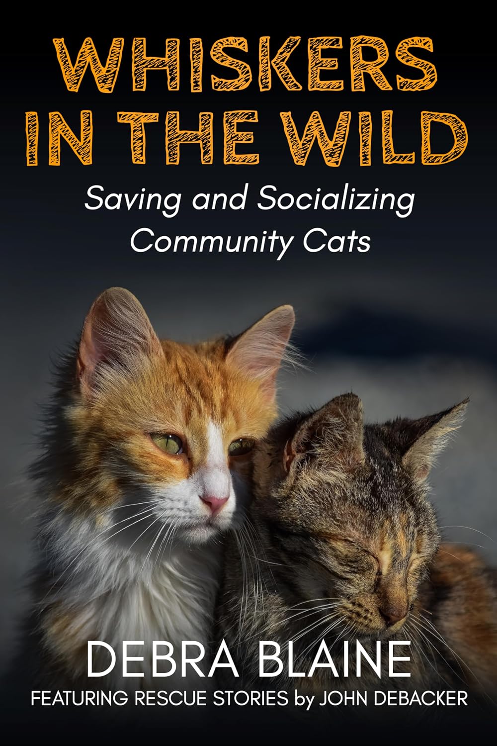 Whiskers in the Wild: Saving and Socializing Community Cats