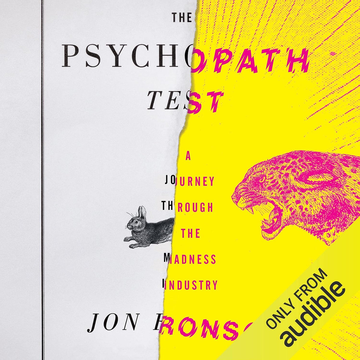 The Psychopath Test: A Journey Through the Madness Industry
