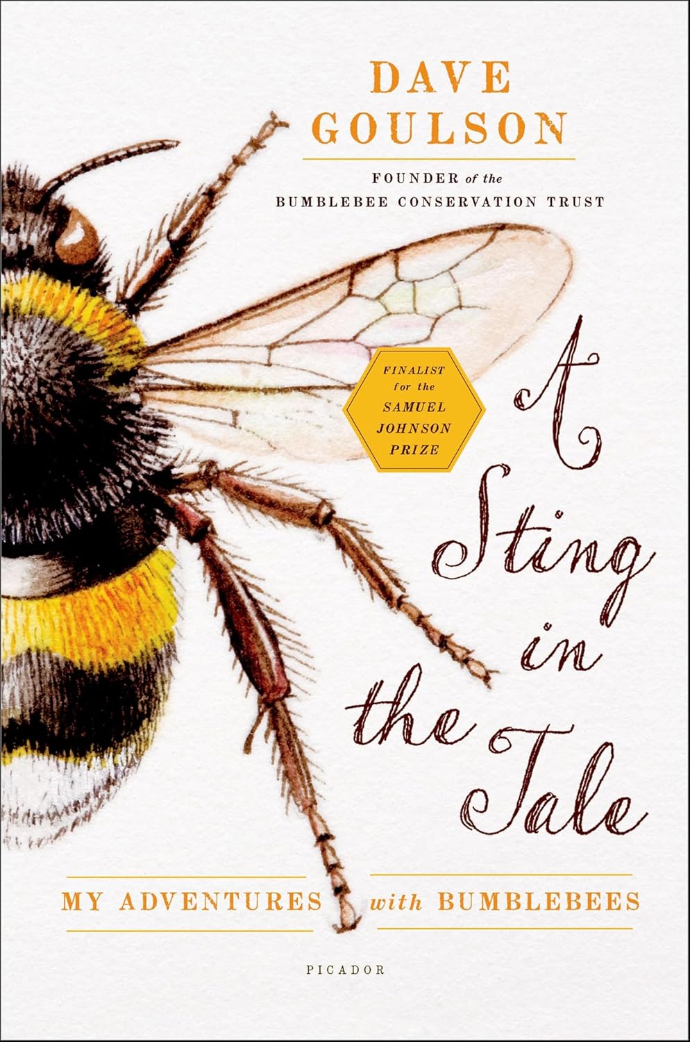 A Sting in the Tale: My Adventures with Bumblebees