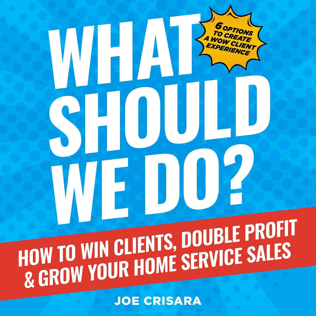 What Should We Do?: How to Win Clients, Double Profit & Grow Your Home Service Sales