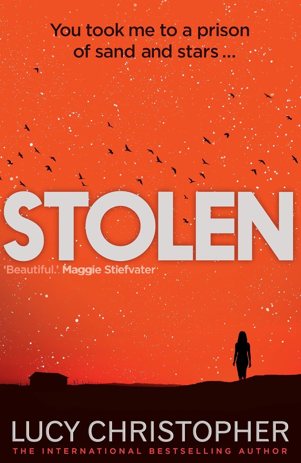 Stolen: the prize-winning psychological thriller