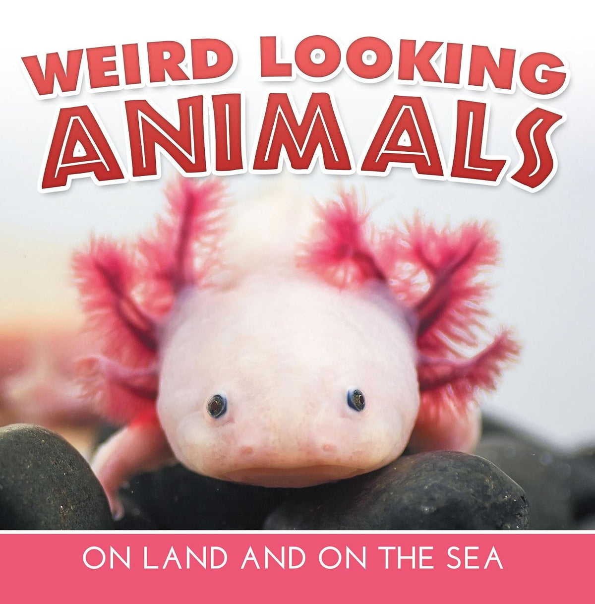 Weird Looking Animals On Land and On The Sea: Animal Encyclopedia for Kids - Wildlife (Children's Animal Books)
