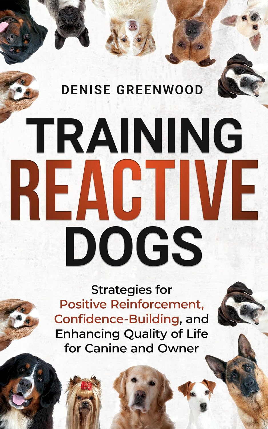 Training Reactive Dogs: Strategies for Positive Reinforcement, Confidence-Building, and Enhancing Quality of Life for Canine and Owner