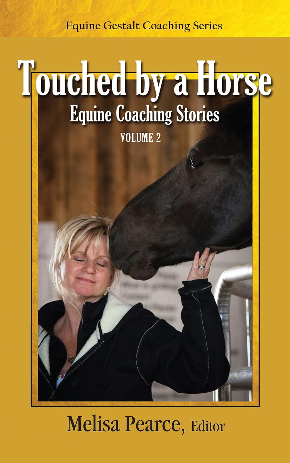 Touched by a Horse: Equine Coaching Stories (Volume 2)