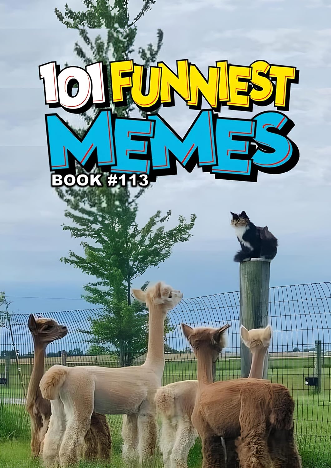 101 FUNNIEST MEMES : BOOK 113