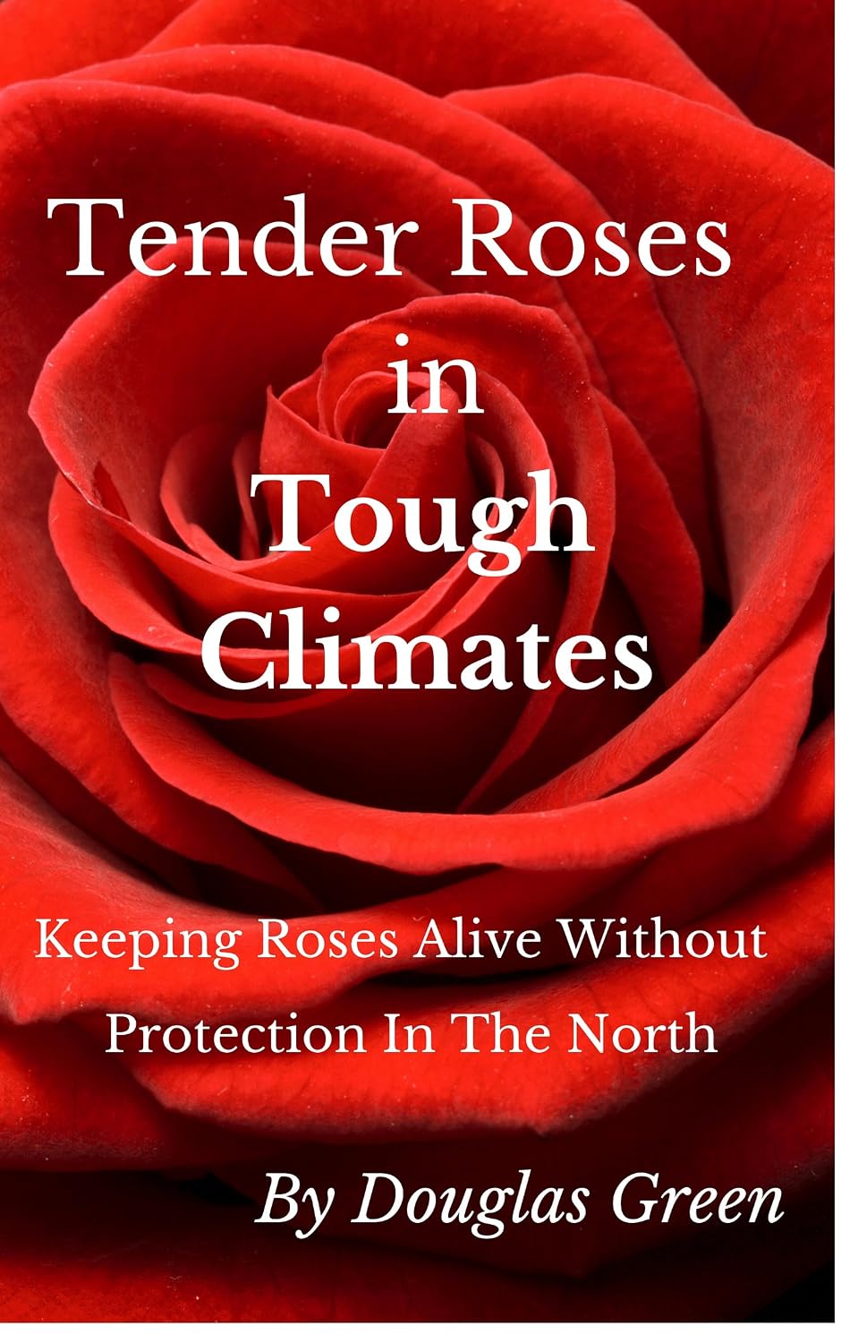 Tender Roses in Tough Climates: How To Grow Awesome Rose Garden Plants In The North (Beginner Gardening Book 6)