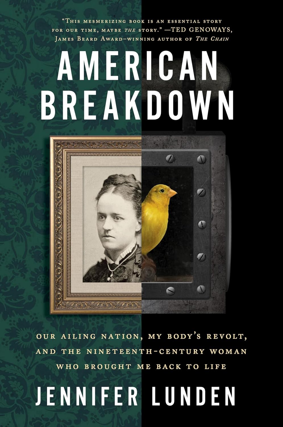 American Breakdown: Our Ailing Nation, My Body’s Revolt, and the Nineteenth-Century Woman Who Brought Me Back to Life – An Illuminating Investigation into Chronic Illness and Environmental Ecosystems