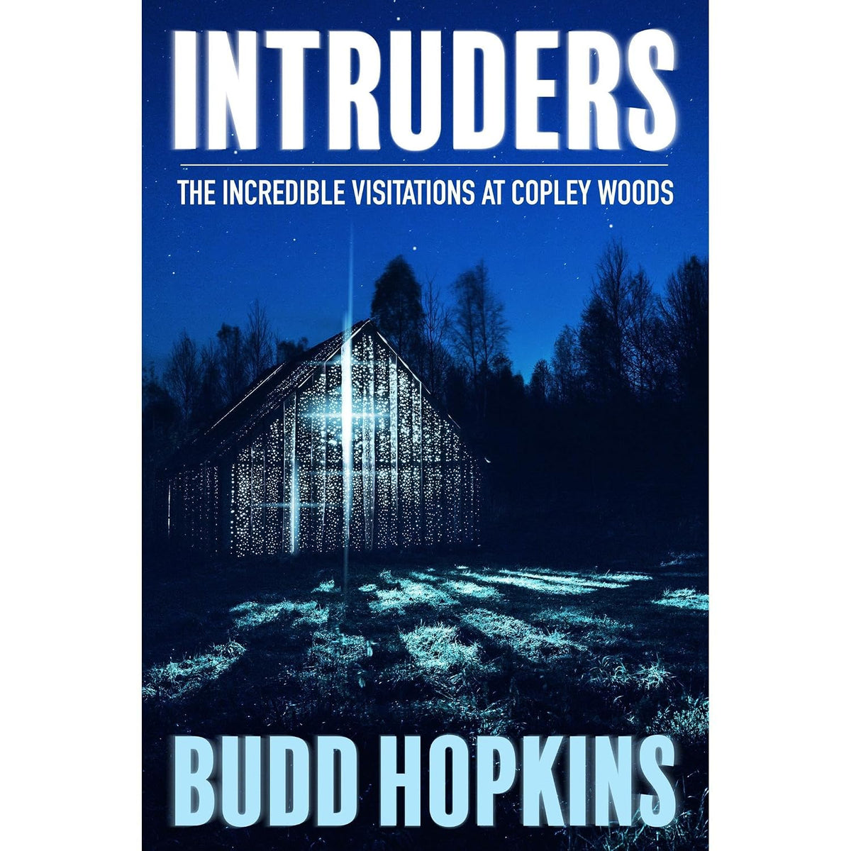 Intruders: The Incredible Visitations at Copley Woods