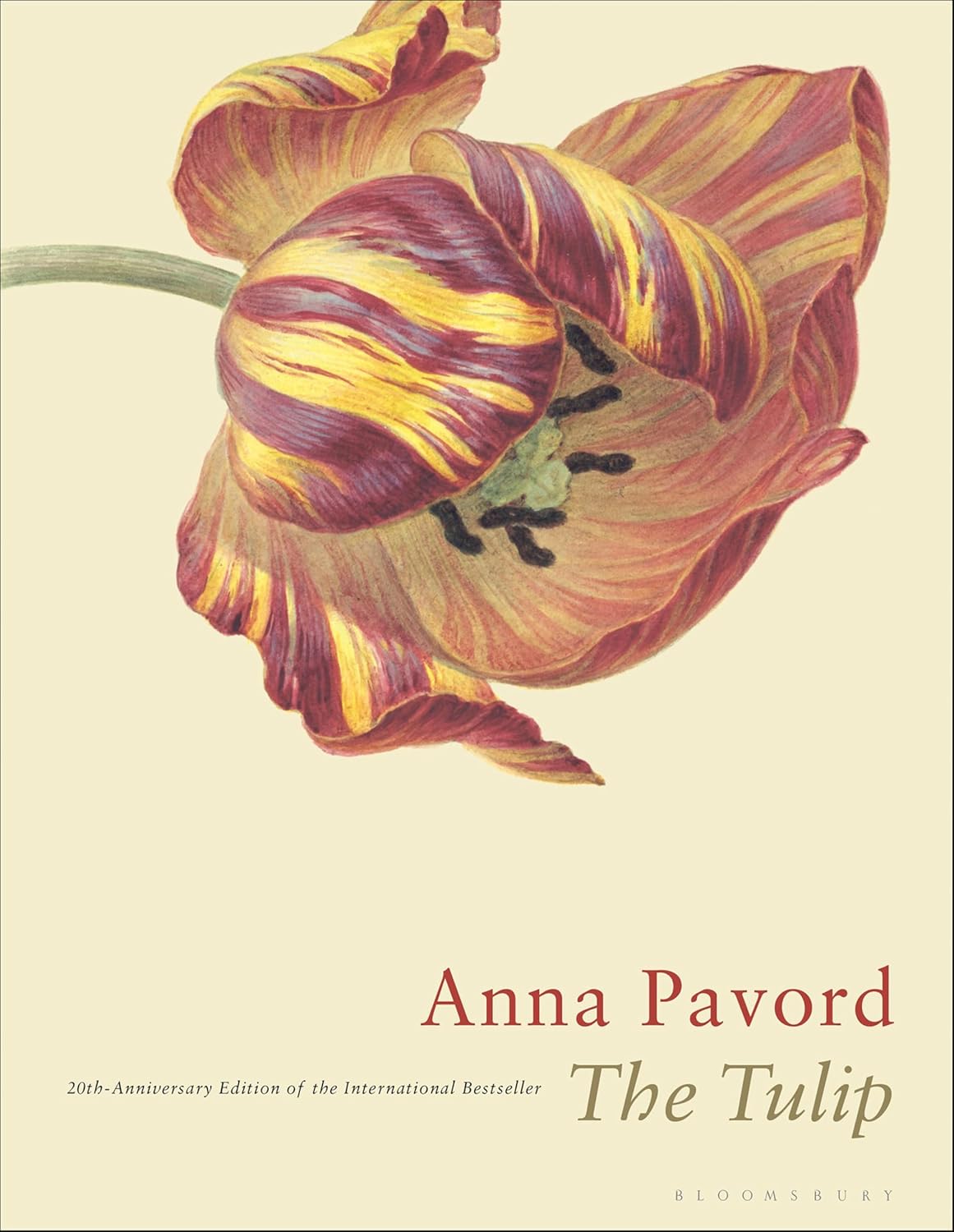 The Tulip: The Story of the Flower That Has Made Men Mad