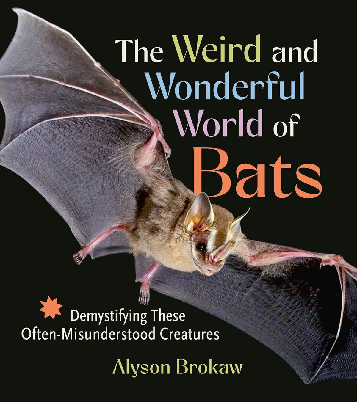 The Weird and Wonderful World of Bats: Demystifying These Often-Misunderstood Creatures