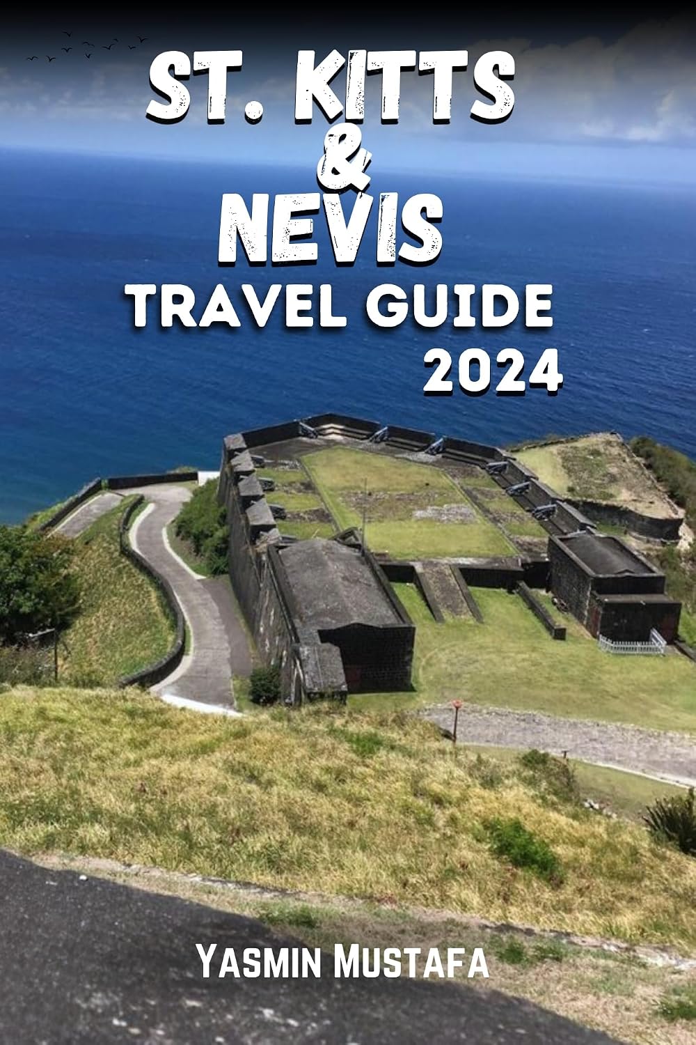 St. Kitts and Nevis Travel Guide 2024: Embark on an odyssey through the enchanting Caribbean gem, where azure waters meet lush landscapes, inviting you to discover the rich tapestry of its allure