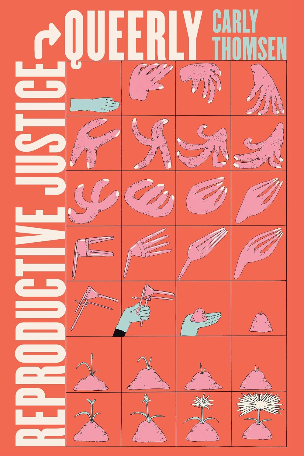 Reproductive Justice, Queerly (Reproductive Justice: A New Vision for the 21st Century Book 16)