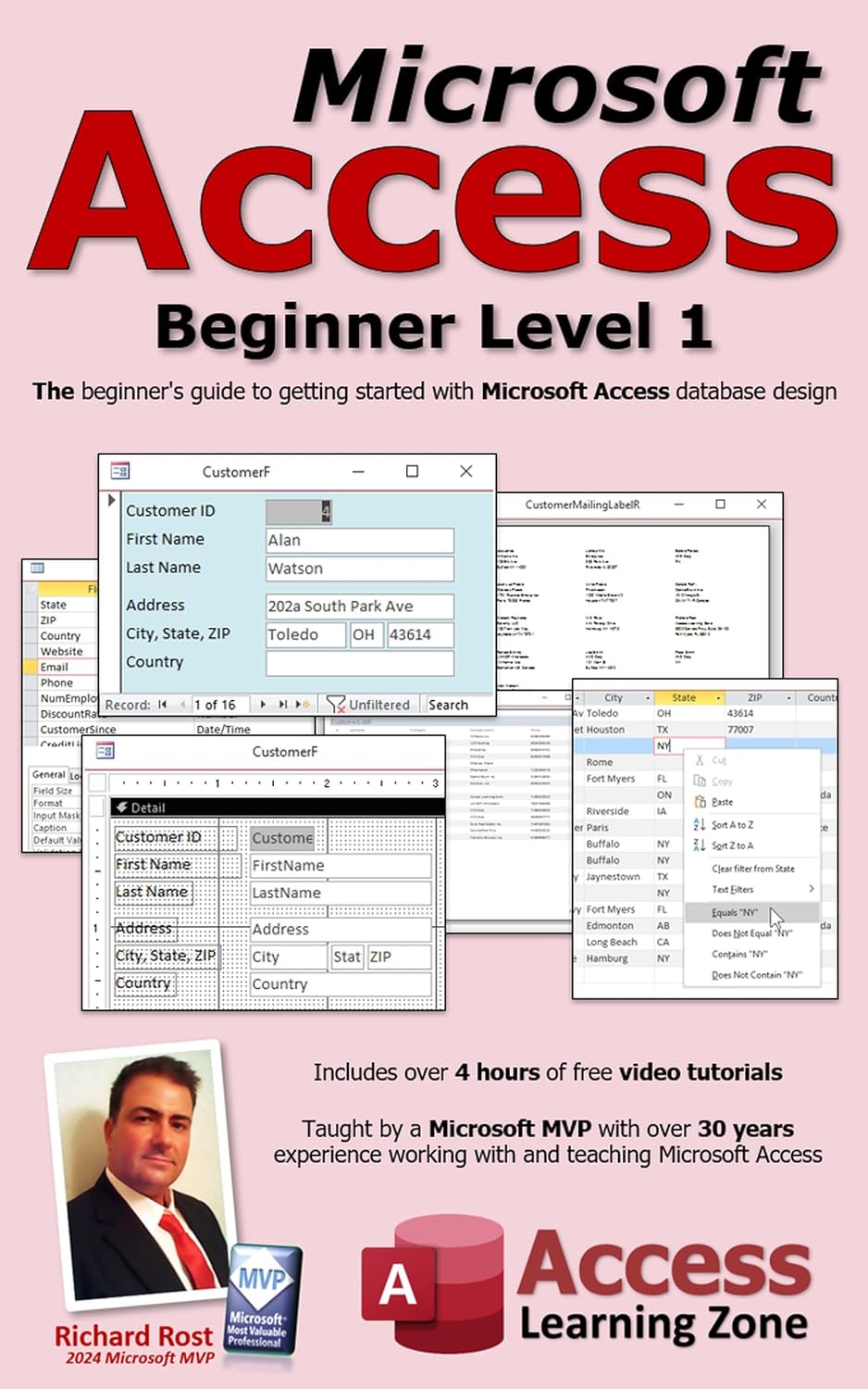 Microsoft Access Beginner Level 1: The Beginner's Guide to Microsoft Access Database Design
