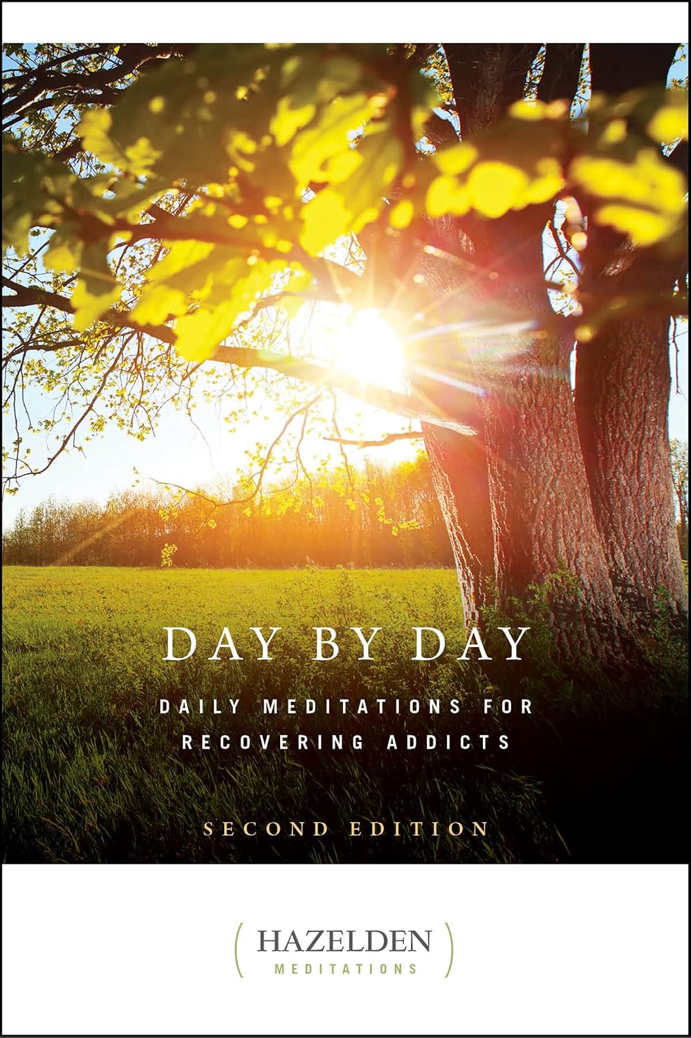 Day by Day: Daily Meditations for Recovering Addicts, Second Edition (Hazelden Meditations)