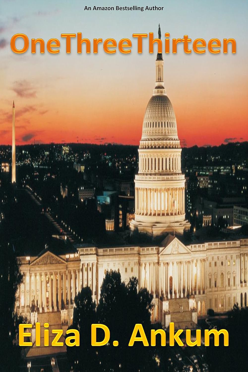 OneThreeThirteen: A Presidential Agent Novel Series Book 1
