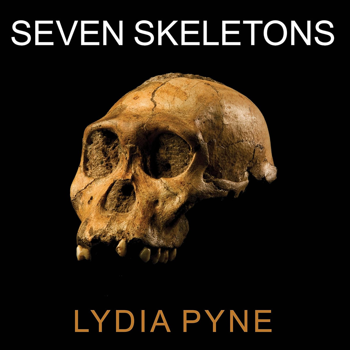 Seven Skeletons: The Evolution of the World's Most Famous Human Fossils