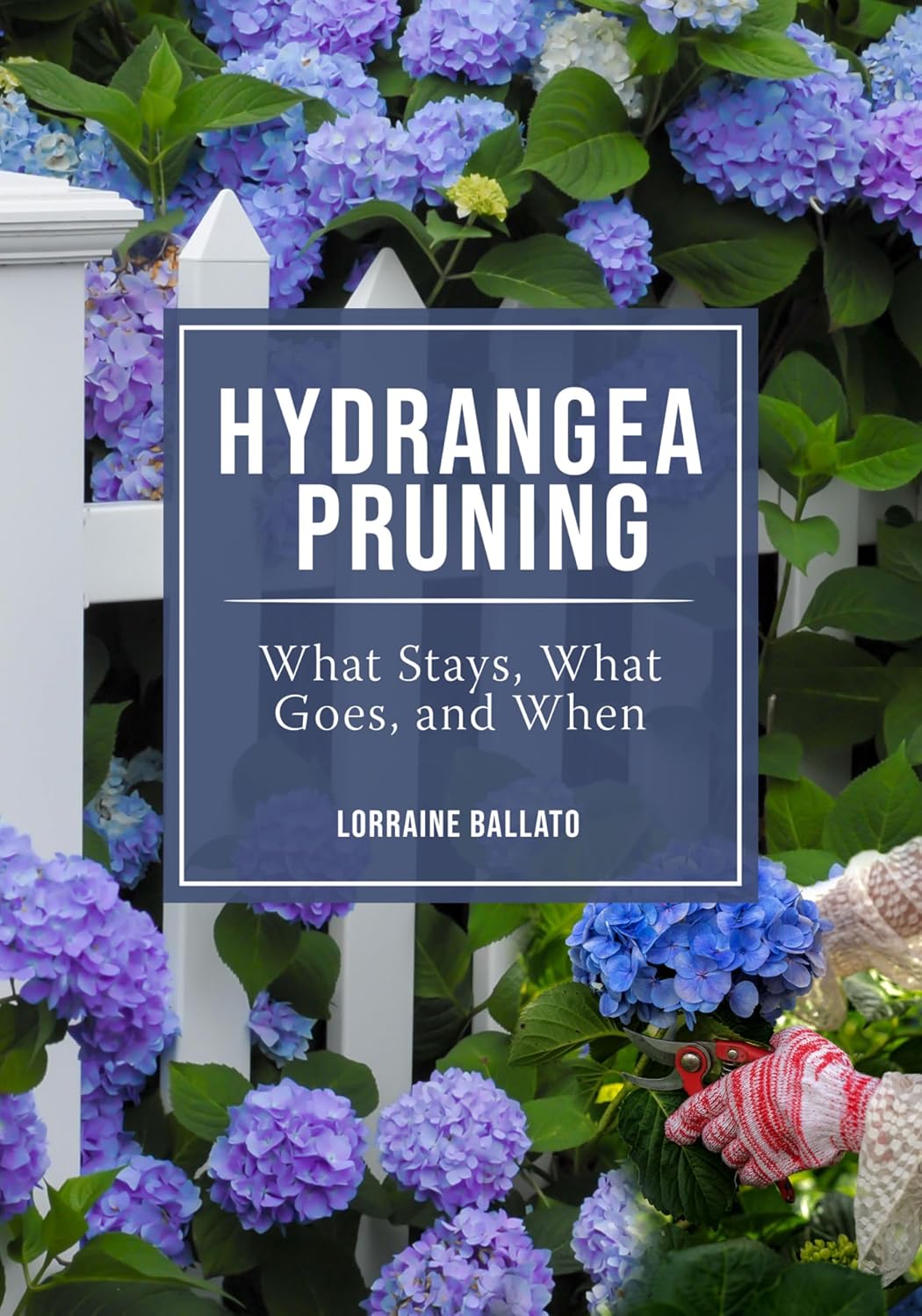 HYDRANGEA PRUNING: WHAT STAYS, WHAT GOES, AND WHEN