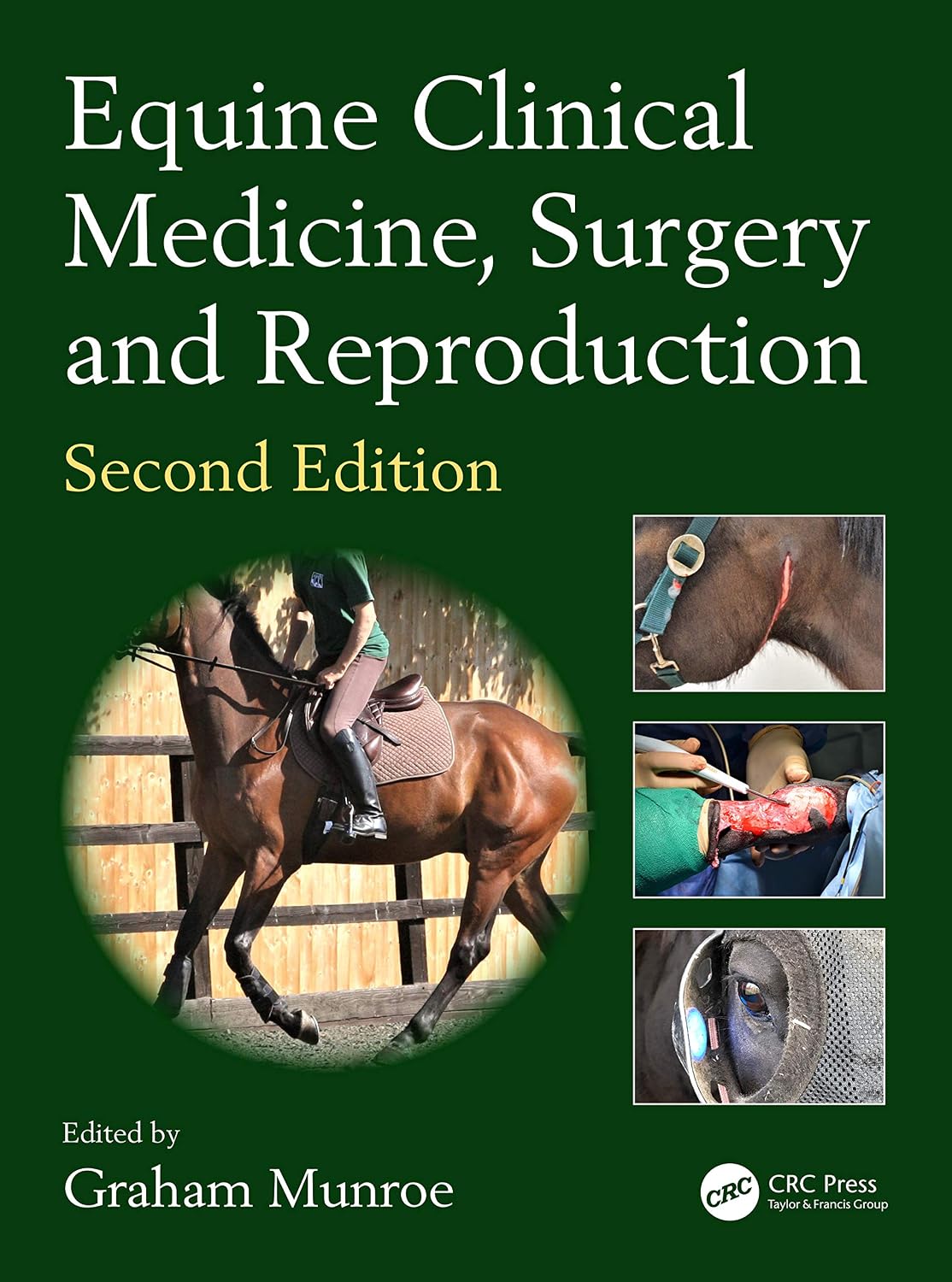 Equine Clinical Medicine, Surgery and Reproduction (3D Photorealistic Rendering)