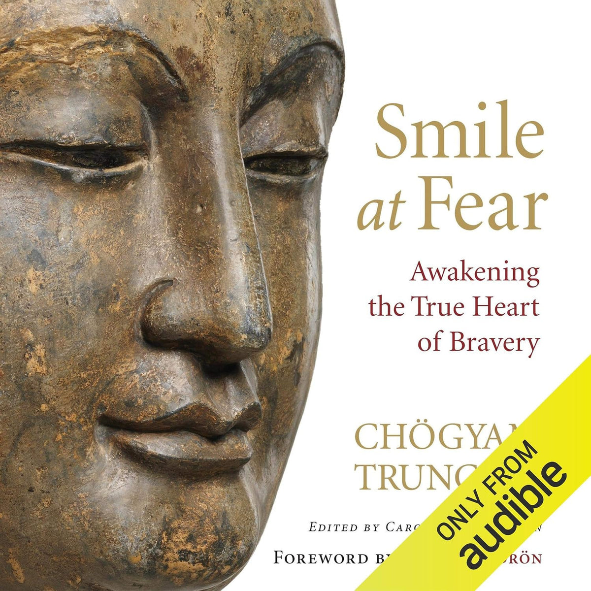 Smile at Fear: Awakening the True Heart of Bravery