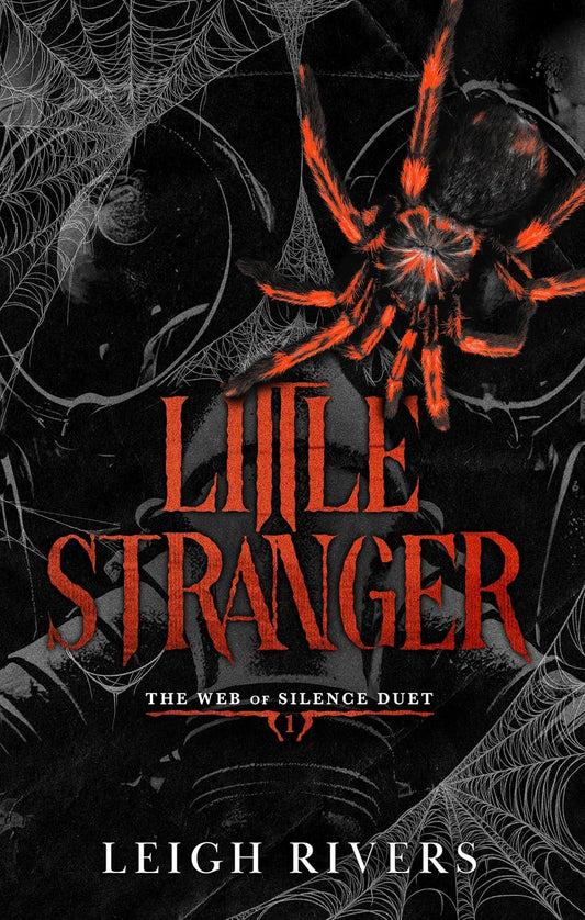 Little Stranger (Web of Silence Book 1)