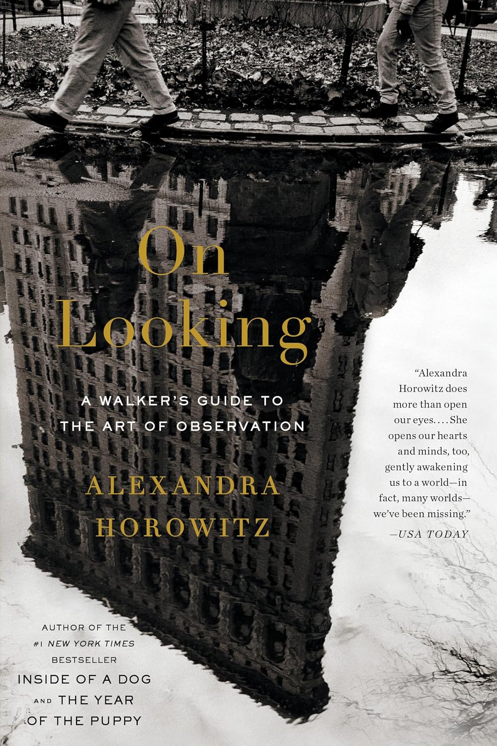 On Looking: A Walker's Guide to the Art of Observation