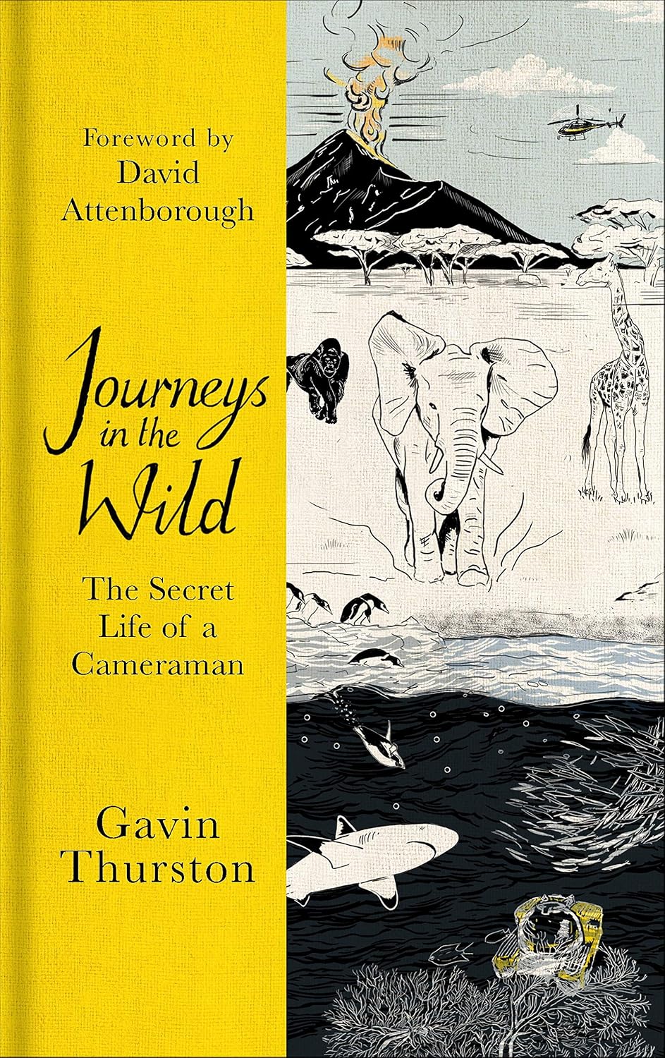 Journeys in the Wild: From award-winning cameraman for David Attenborough's ‘A Life on Our Planet'