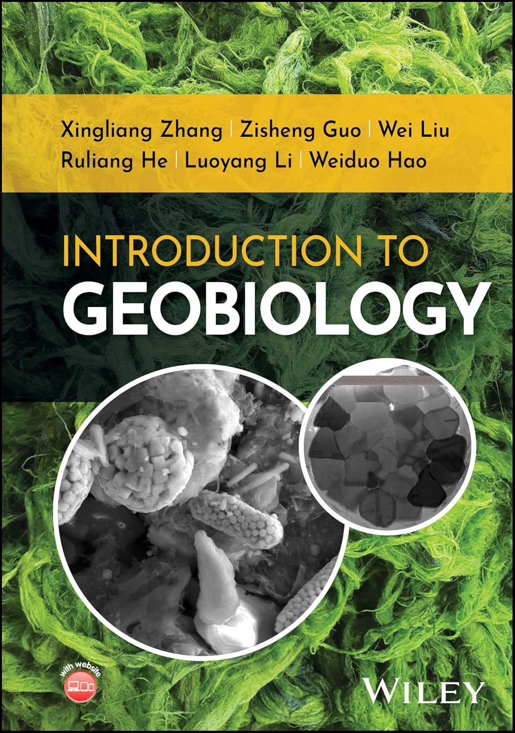 Introduction to Geobiology