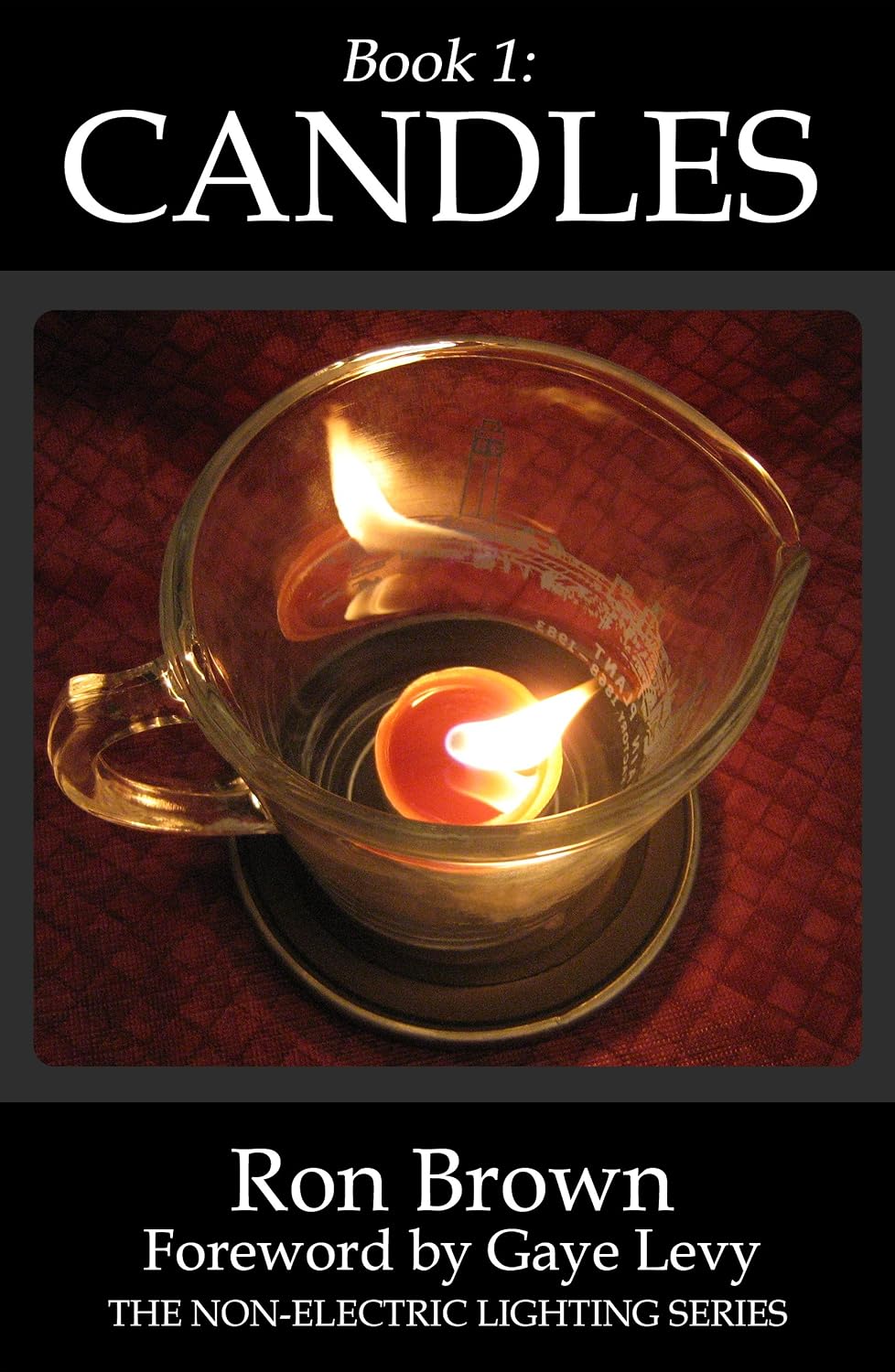 Book 1: Candles (The Non-Electric Lighting Series)