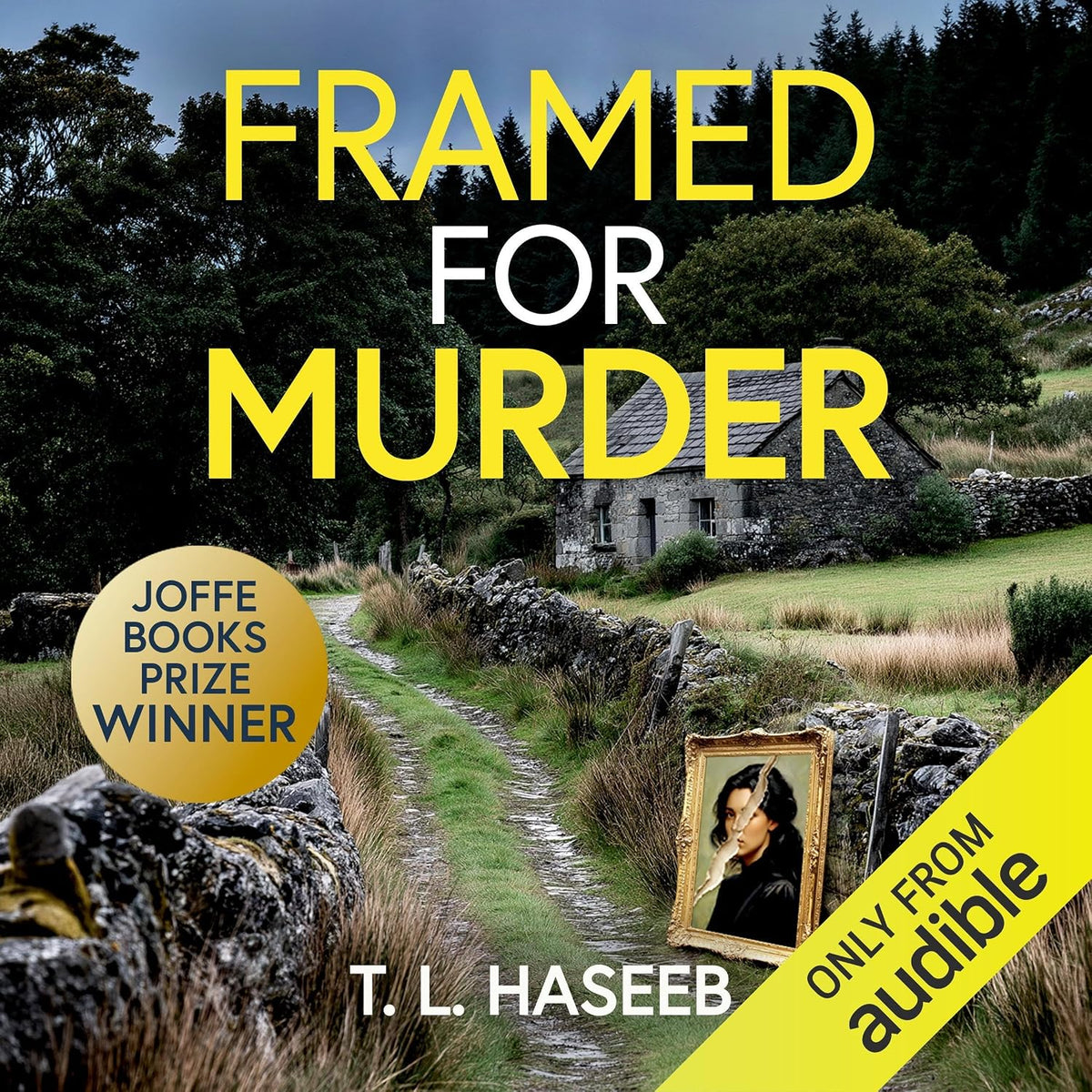 Framed for Murder: Detective Inspector Amber Kash Mysteries, Book 1