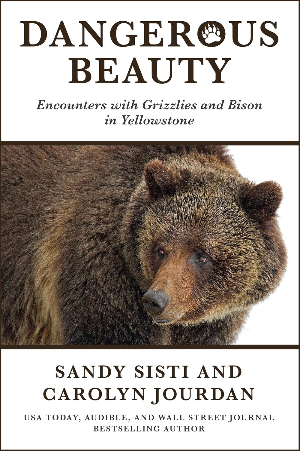 Dangerous Beauty: Encounters with Grizzlies and Bison in Yellowstone