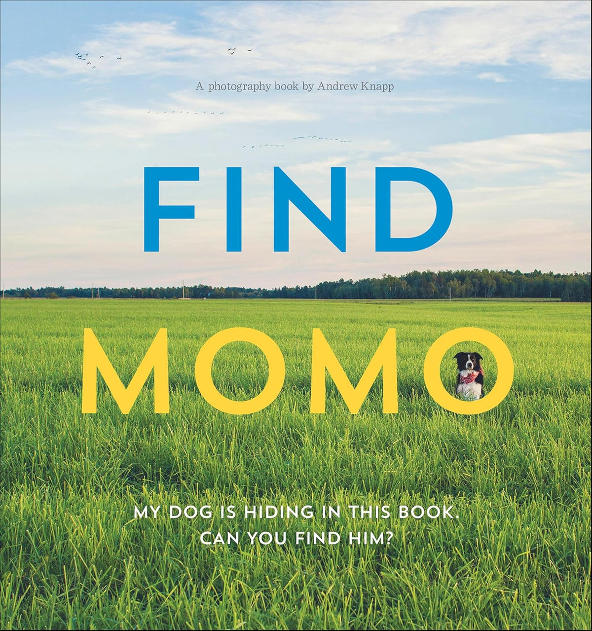 Find Momo: A Photography Book