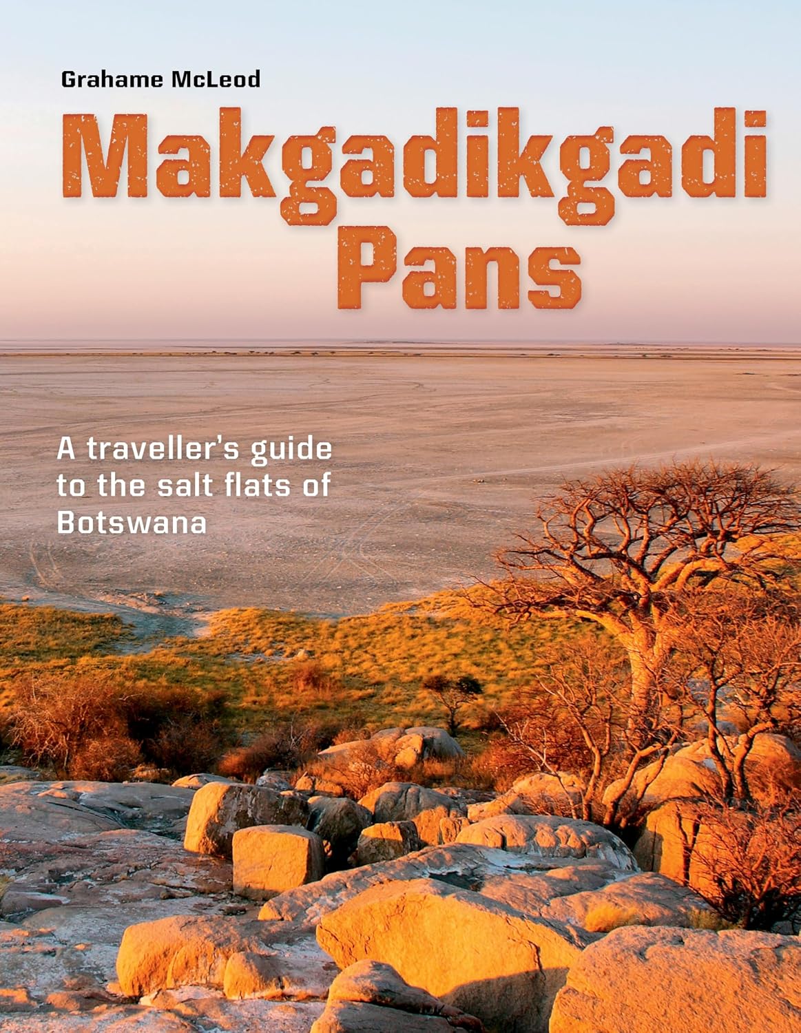 Makgadikgadi Pans: A Traveller's guide to the salt flats of Botswana