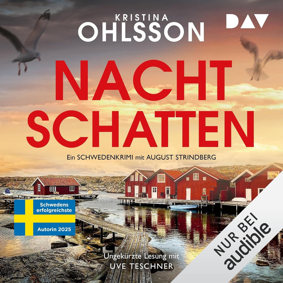 Nachtschatten: August Strindberg ermittelt, Band 5