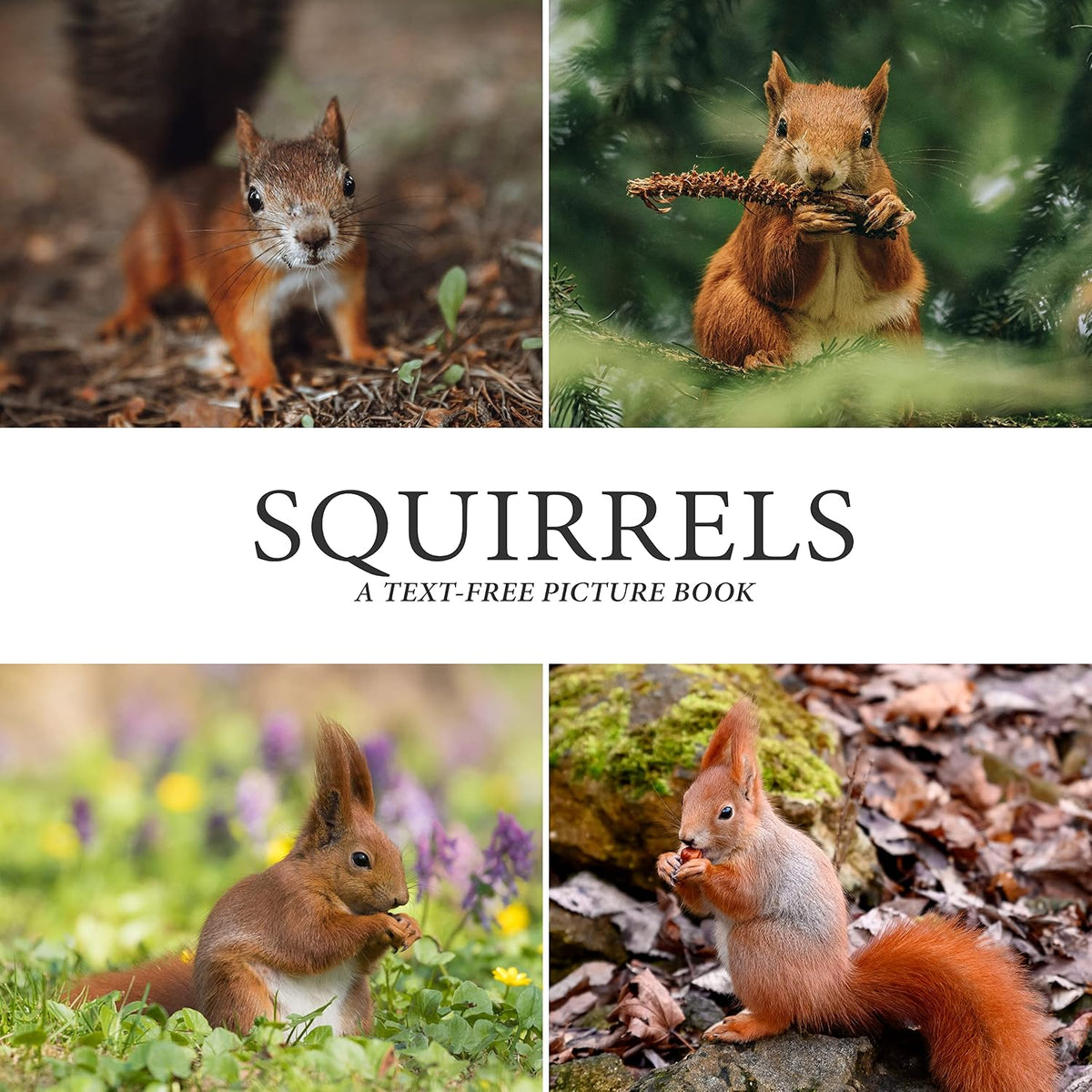 Squirrels: A Text-Free Picture Book for Seniors with Alzheimer's, Dementia, and Other Cognitive Impairments