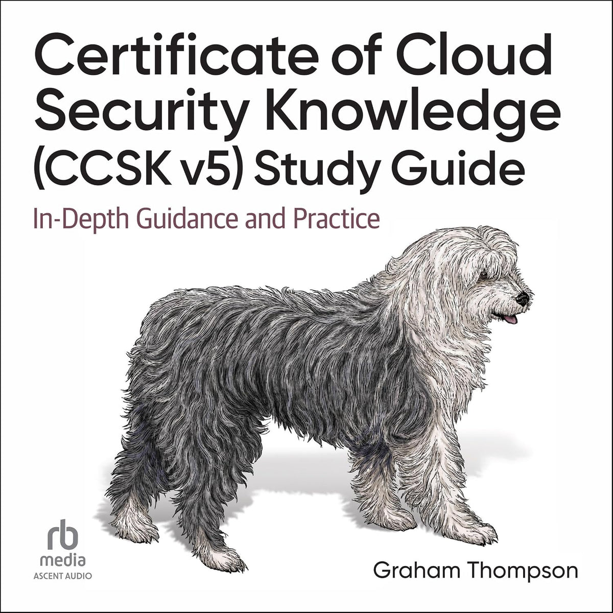 Certificate of Cloud Security Knowledge (CCSK v5) Study Guide: In-Depth Guidance and Practice