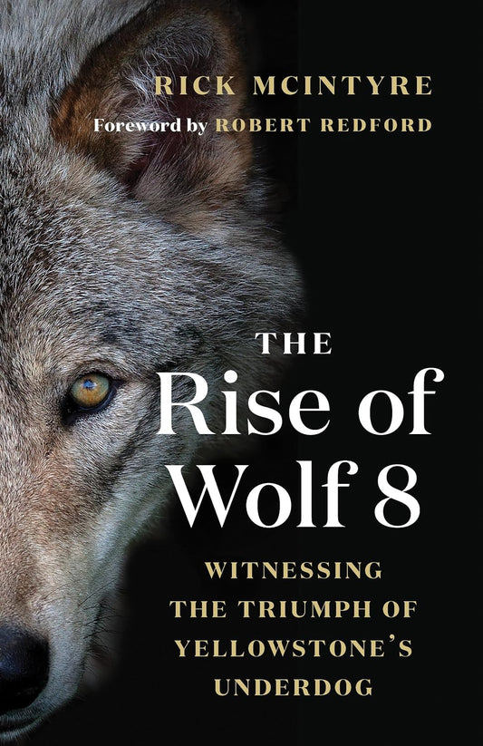 The Rise of Wolf 8: Witnessing the Triumph of Yellowstone's Underdog (The Alpha Wolves of Yellowstone, 1)