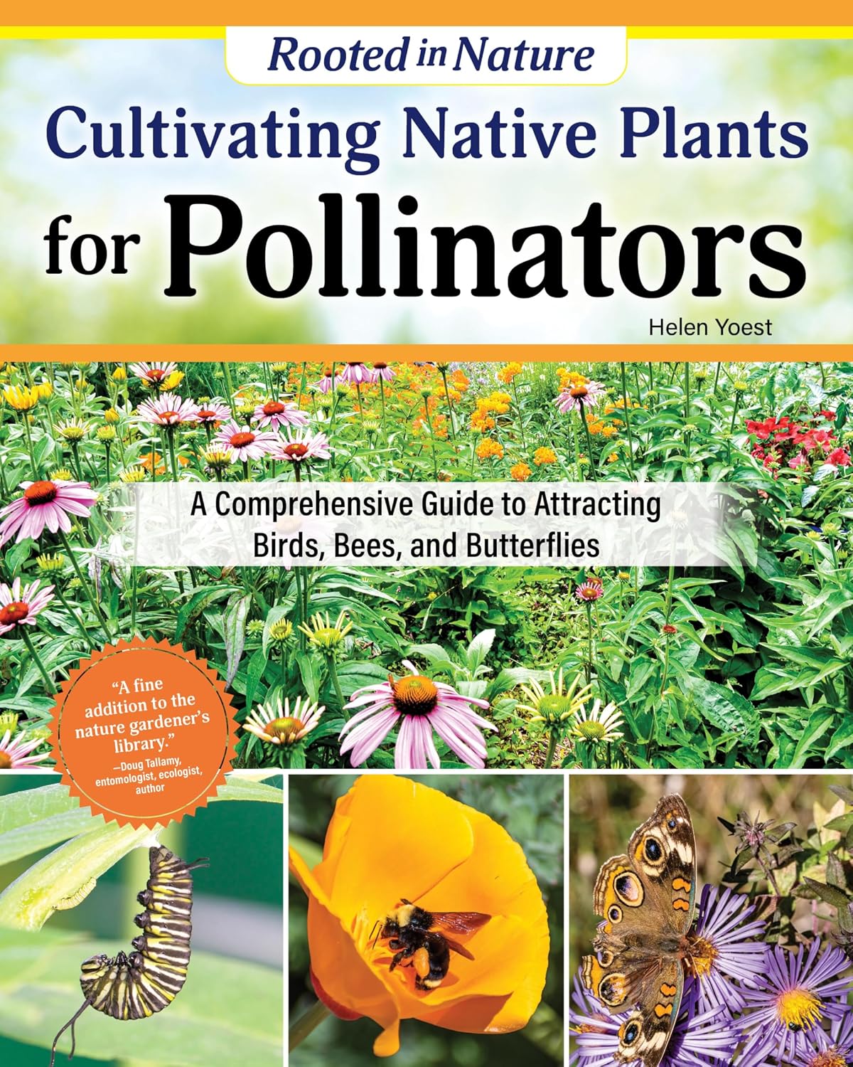 Cultivating Native Plants for Pollinators: A Comprehensive Guide to Attracting Birds, Bees and Pollinators