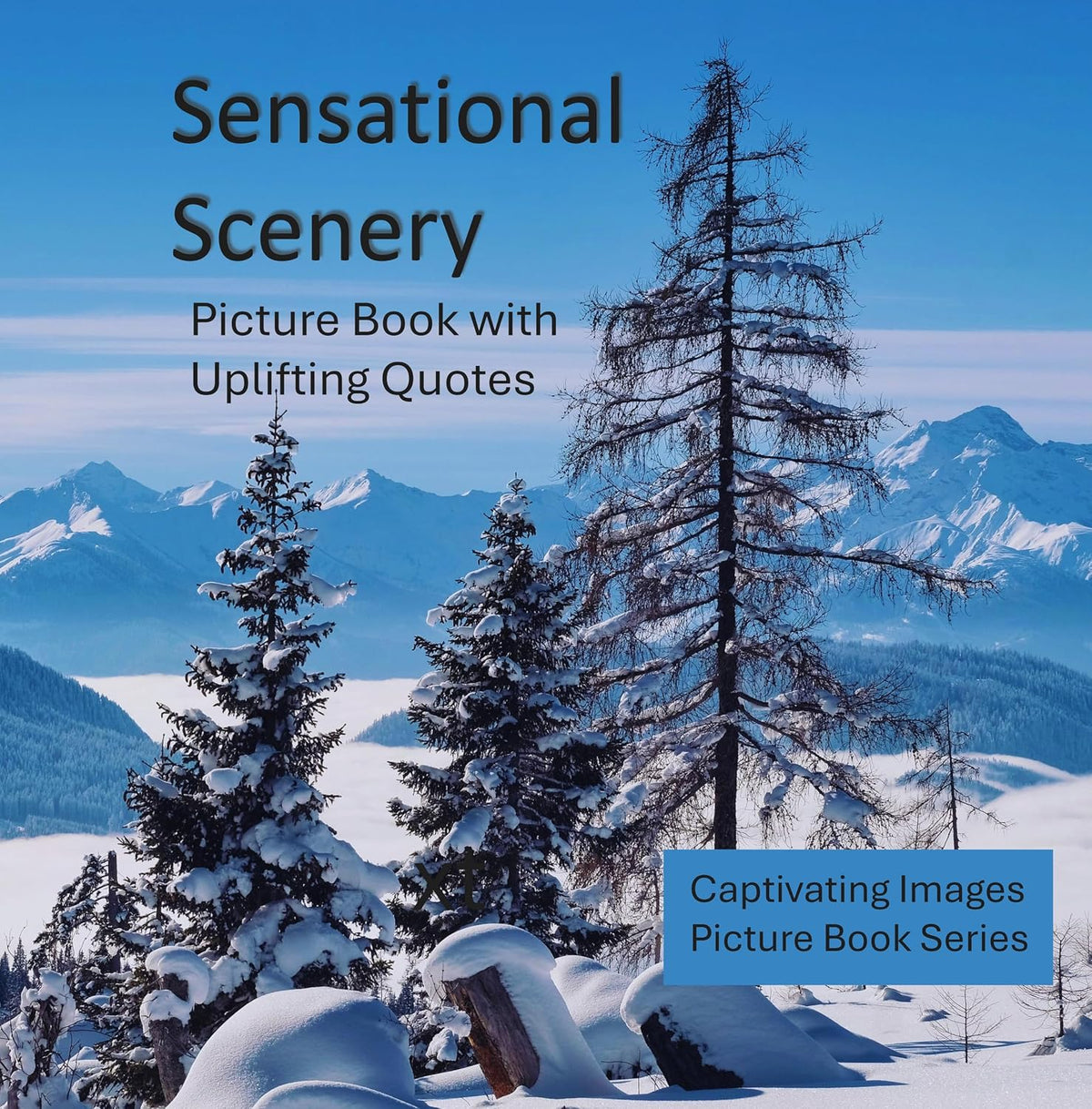Sensational Scenery: Picture Book With Uplifting Quotes for Seniors with Dementia and Alzheimer's (Captivating Images for Seniors with Dementia)