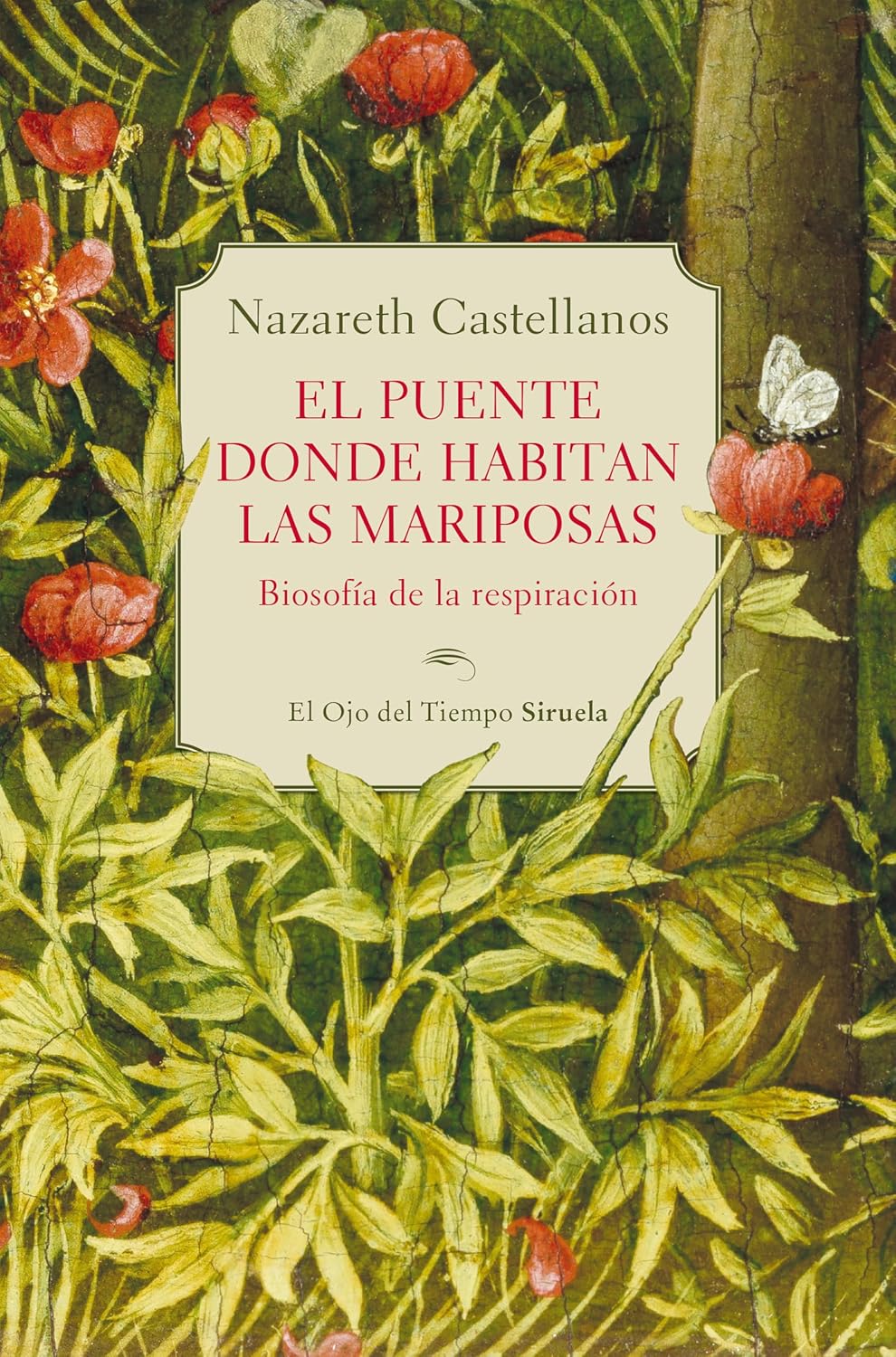 El puente donde habitan las mariposas (Spanish Edition)