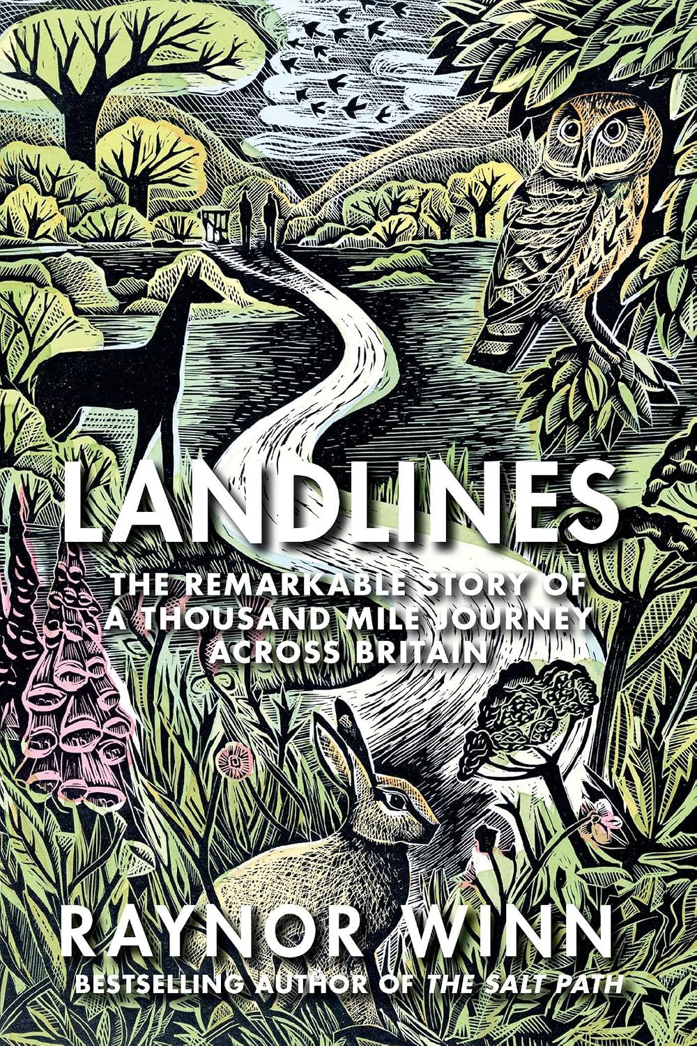 Landlines: The Remarkable Story of a Thousand-Mile Journey Across Britain