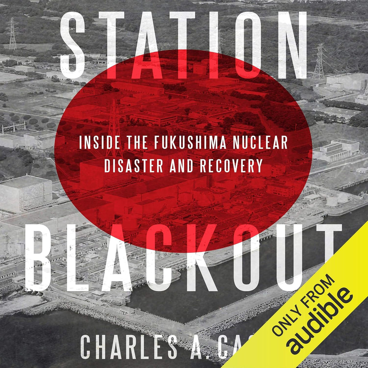 Station Blackout: Inside the Fukushima Nuclear Disaster and Recovery