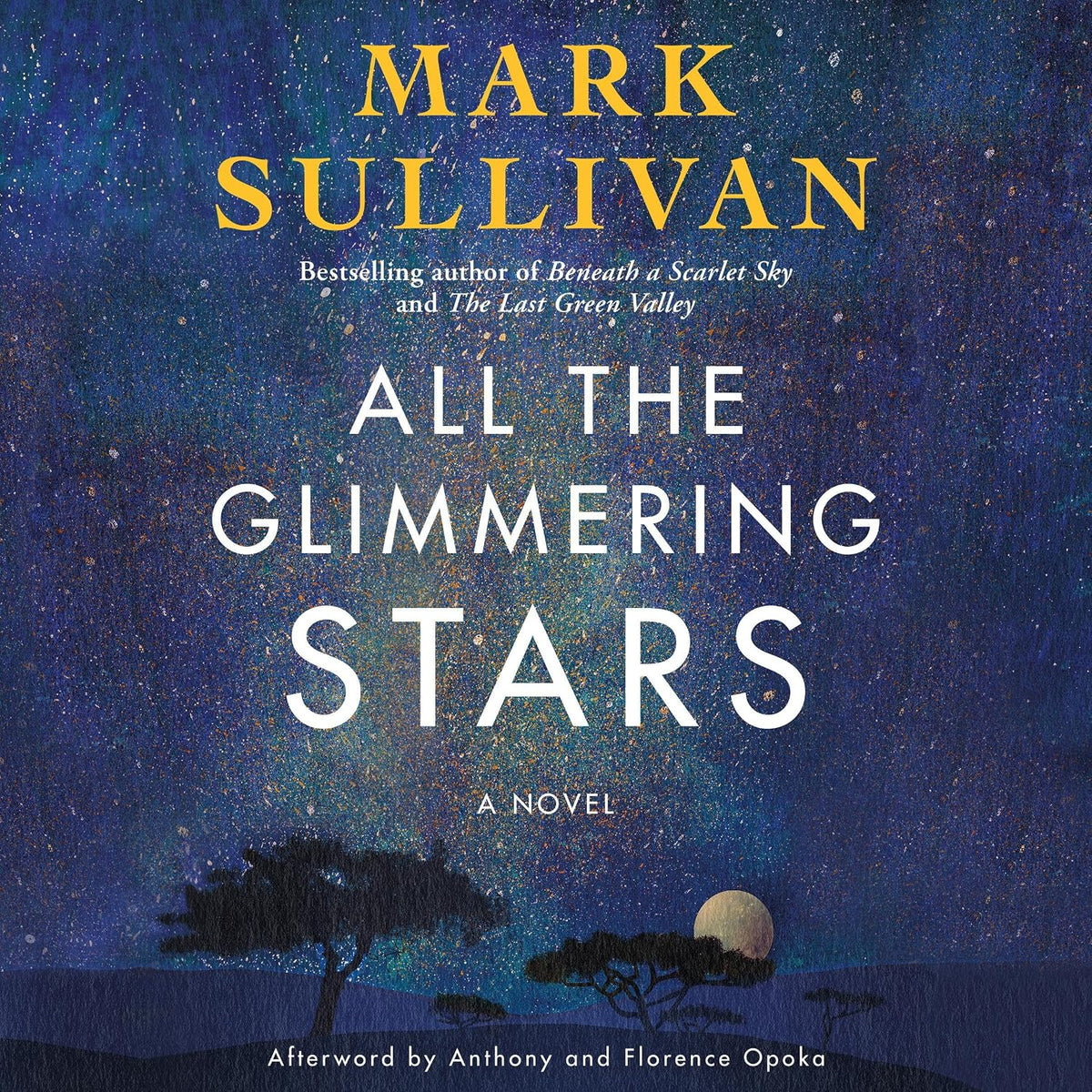 All the Glimmering Stars: A Novel