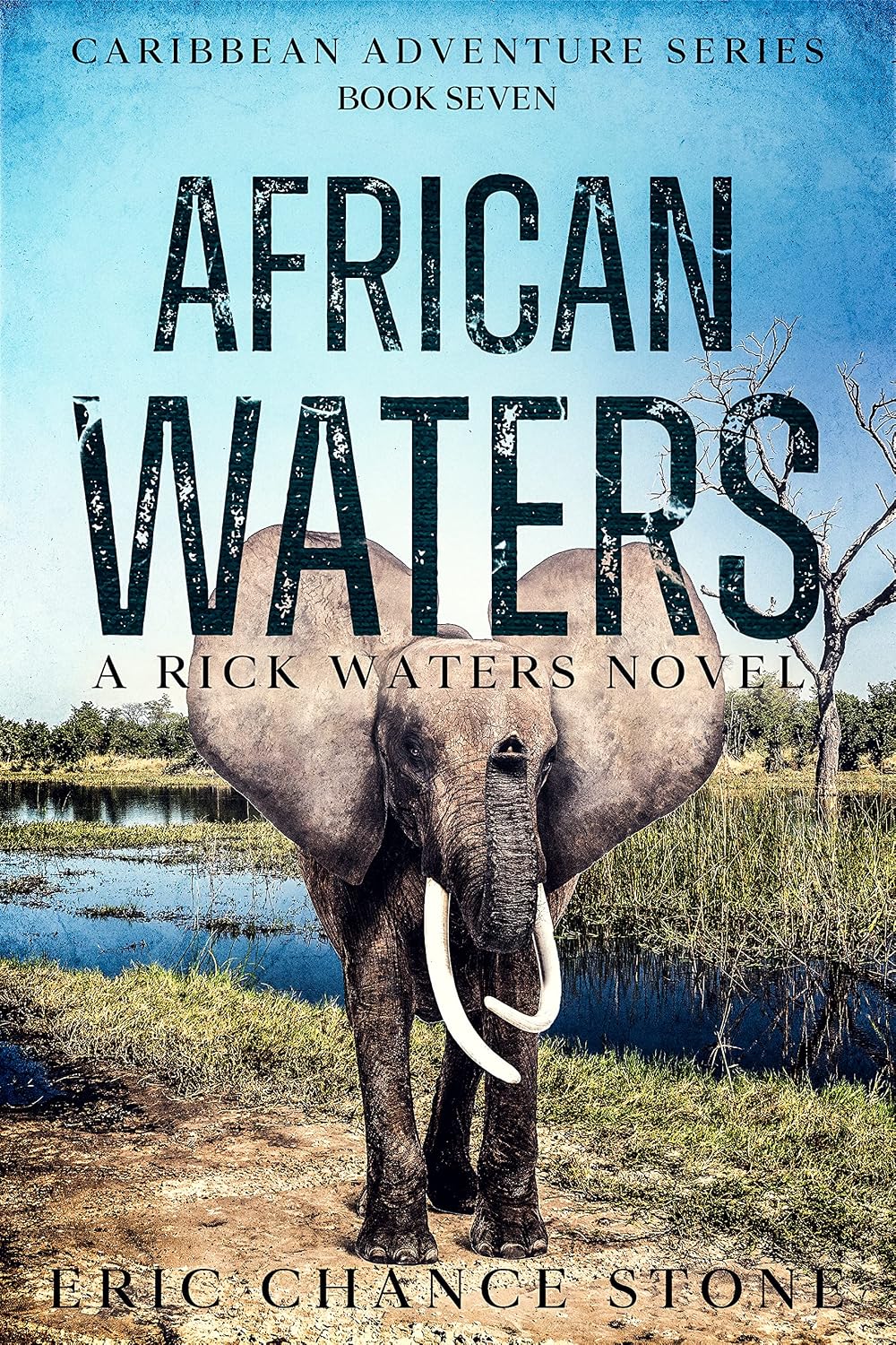 African Waters: A Rick Waters Novel (Caribbean Adventure Series Book 7)