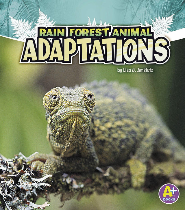 Rain Forest Animal Adaptations (Amazing Animal Adaptations)